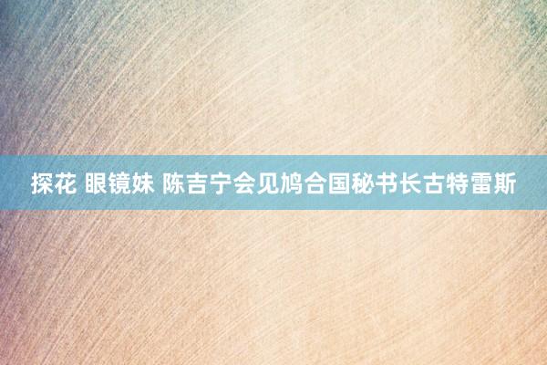探花 眼镜妹 陈吉宁会见鸠合国秘书长古特雷斯