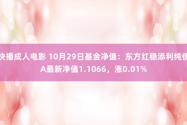 快播成人电影 10月29日基金净值：东方红稳添利纯债A最新净值1.1066，涨0.01%