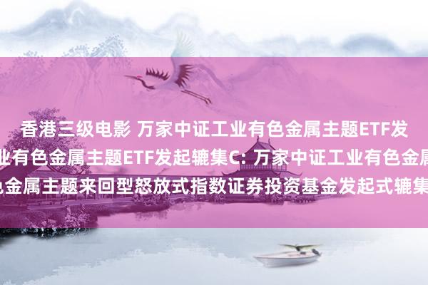 香港三级电影 万家中证工业有色金属主题ETF发起辘集A,万家中证工业有色金属主题ETF发起辘集C: 万家中证工业有色金属主题来回型怒放式指数证券投资基金发起式辘集基金基金司理变更公告