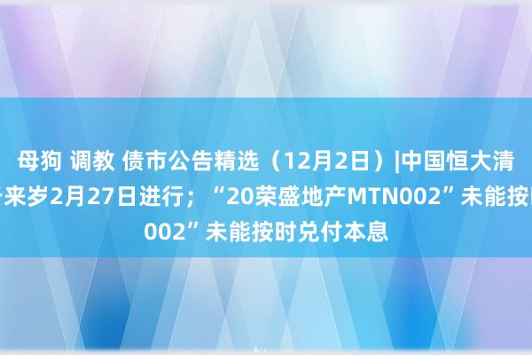 母狗 调教 债市公告精选（12月2日）|中国恒大清盘聆讯定于来岁2月27日进行；“20荣盛地产MTN002”未能按时兑付本息