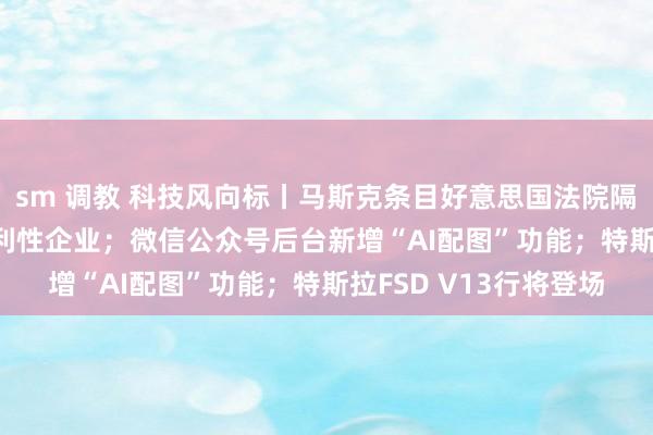 sm 调教 科技风向标丨马斯克条目好意思国法院隔断OpenAI转型为牟利性企业；微信公众号后台新增“AI配图”功能；特斯拉FSD V13行将登场