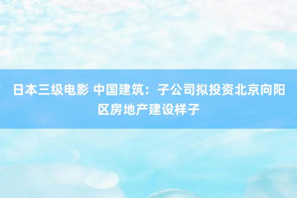 日本三级电影 中国建筑：子公司拟投资北京向阳区房地产建设样子