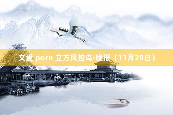 文爱 porn 立方风控鸟·晚报（11月29日）