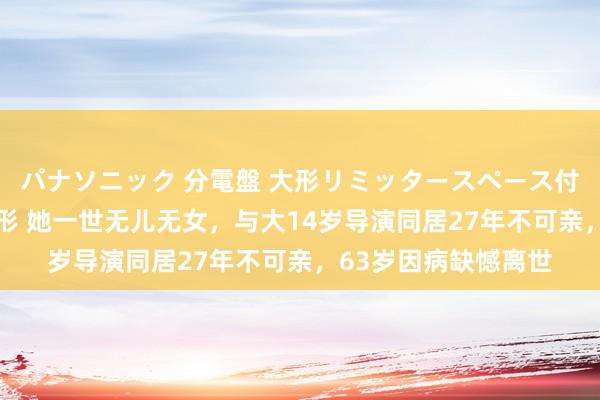 パナソニック 分電盤 大形リミッタースペース付 露出・半埋込両用形 她一世无儿无女，与大14岁导演同居27年不可亲，63岁因病缺憾离世