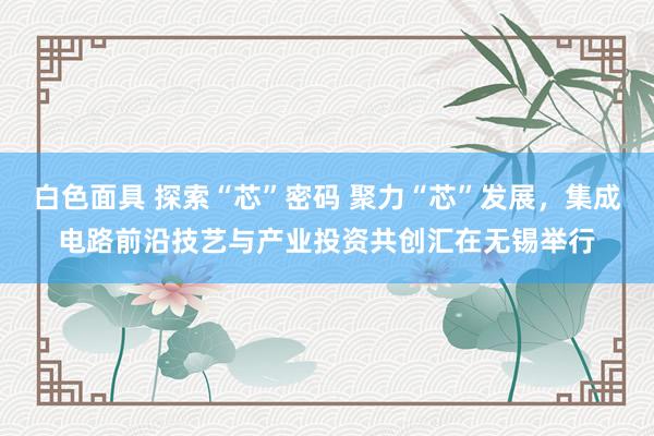 白色面具 探索“芯”密码 聚力“芯”发展，集成电路前沿技艺与产业投资共创汇在无锡举行