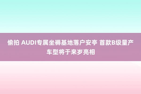 偷拍 AUDI专属坐褥基地落户安亭 首款B级量产车型将于来岁亮相