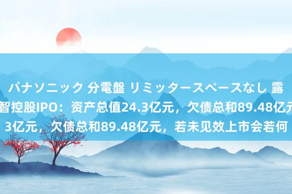 パナソニック 分電盤 リミッタースペースなし 露出・半埋込両用形 汇智控股IPO：资产总值24.3亿元，欠债总和89.48亿元，若未见效上市会若何