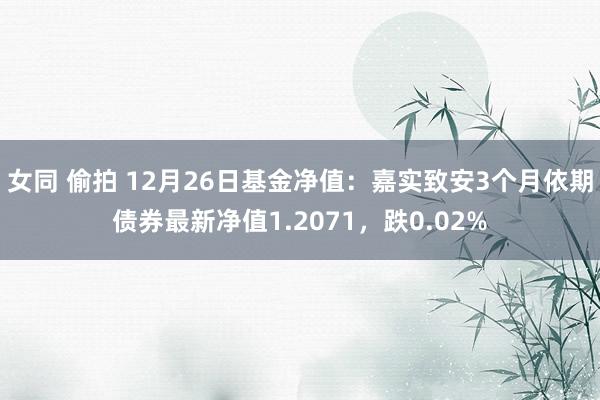 女同 偷拍 12月26日基金净值：嘉实致安3个月依期债券最新净值1.2071，跌0.02%