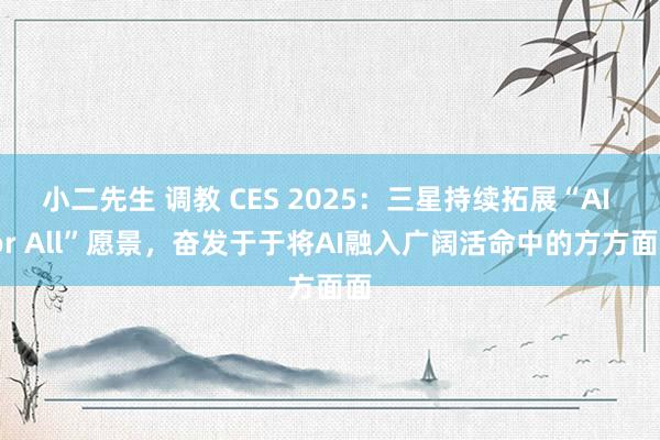 小二先生 调教 CES 2025：三星持续拓展“AI for All”愿景，奋发于于将AI融入广阔活命中的方方面面