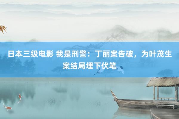 日本三级电影 我是刑警：丁丽案告破，为叶茂生案结局埋下伏笔