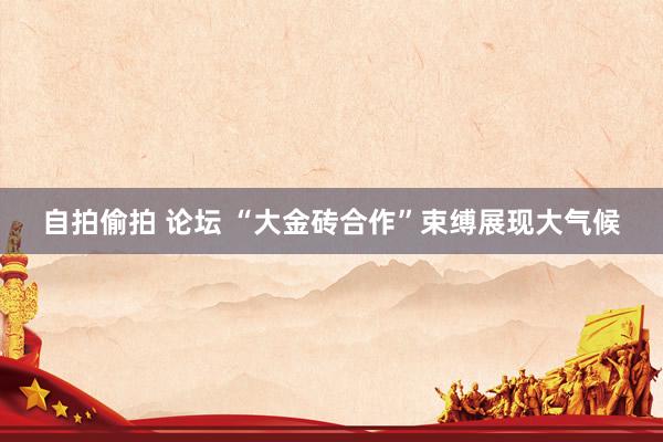 自拍偷拍 论坛 “大金砖合作”束缚展现大气候