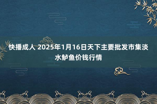 快播成人 2025年1月16日天下主要批发市集淡水鲈鱼价钱行情