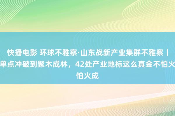 快播电影 环球不雅察·山东战新产业集群不雅察丨从单点冲破到聚木成林，42处产业地标这么真金不怕火成