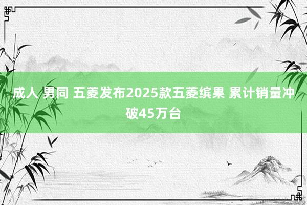 成人 男同 五菱发布2025款五菱缤果 累计销量冲破45万台