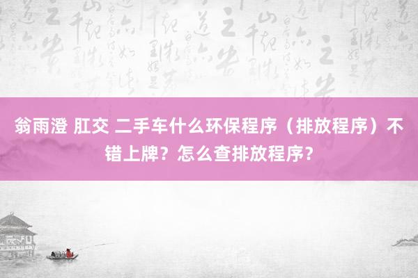 翁雨澄 肛交 二手车什么环保程序（排放程序）不错上牌？怎么查排放程序？