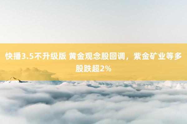 快播3.5不升级版 黄金观念股回调，紫金矿业等多股跌超2%