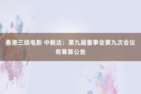 香港三级电影 中毅达：第九届董事会第九次会议有筹算公告