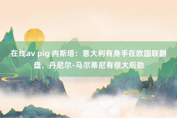 在线av pig 内斯塔：意大利有身手在欧国联翻盘，丹尼尔-马尔蒂尼有很大后劲