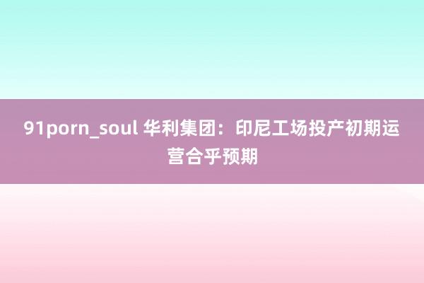 91porn_soul 华利集团：印尼工场投产初期运营合乎预期