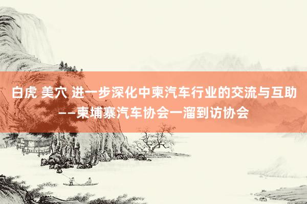 白虎 美穴 进一步深化中柬汽车行业的交流与互助——柬埔寨汽车协会一溜到访协会