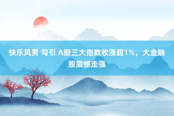 快乐风男 勾引 A股三大指数收涨超1%，大金融股震憾走强