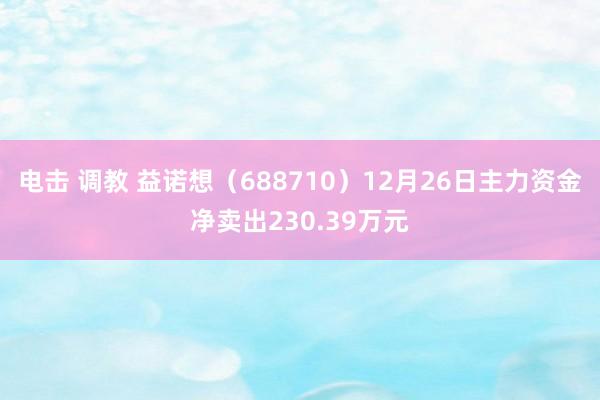 电击 调教 益诺想（688710）12月26日主力资金净卖出230.39万元