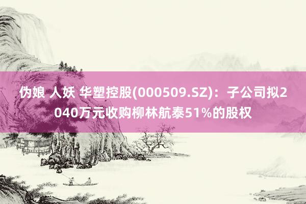 伪娘 人妖 华塑控股(000509.SZ)：子公司拟2040万元收购柳林航泰51%的股权