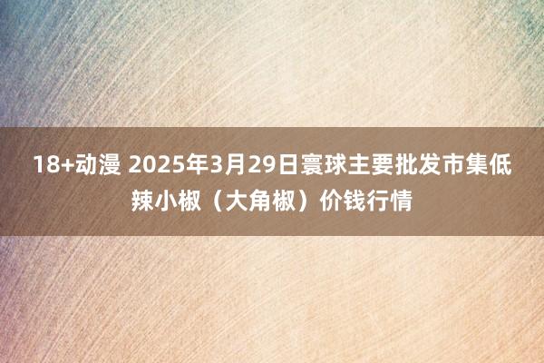 18+动漫 2025年3月29日寰球主要批发市集低辣小椒（大角椒）价钱行情
