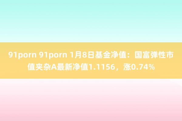 91porn 91porn 1月8日基金净值：国富弹性市值夹杂A最新净值1.1156，涨0.74%