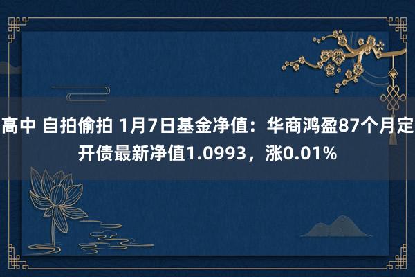 高中 自拍偷拍 1月7日基金净值：华商鸿盈87个月定开债最新净值1.0993，涨0.01%