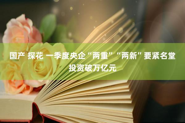 国产 探花 一季度央企“两重”“两新”要紧名堂投资破万亿元