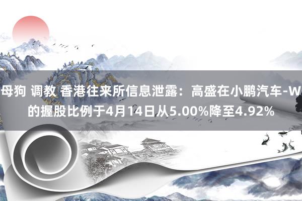 母狗 调教 香港往来所信息泄露：高盛在小鹏汽车-W的握股比例于4月14日从5.00%降至4.92%