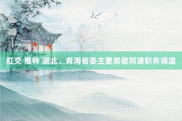 肛交 推特 湖北、青海省委主要崇敬同道职务调遣