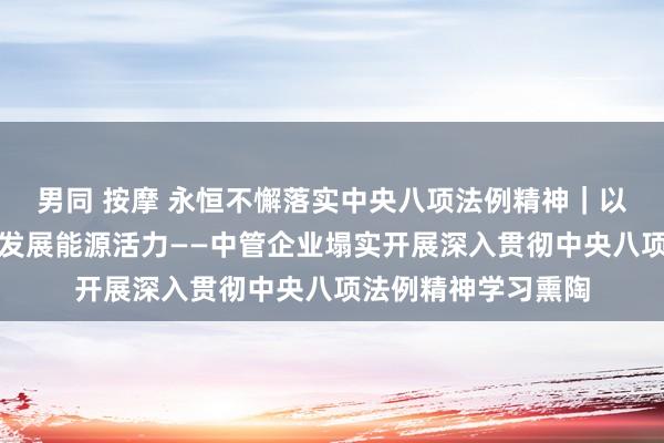 男同 按摩 永恒不懈落实中央八项法例精神｜以优良气派引发校正发展能源活力——中管企业塌实开展深入贯彻中央八项法例精神学习熏陶