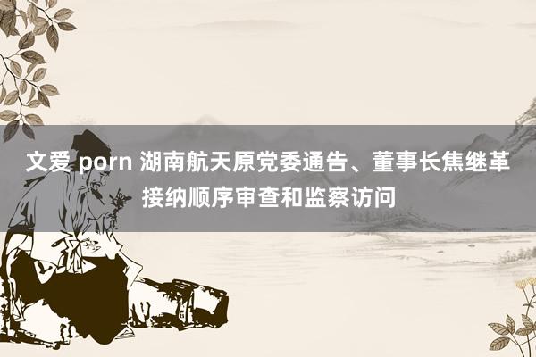 文爱 porn 湖南航天原党委通告、董事长焦继革接纳顺序审查和监察访问