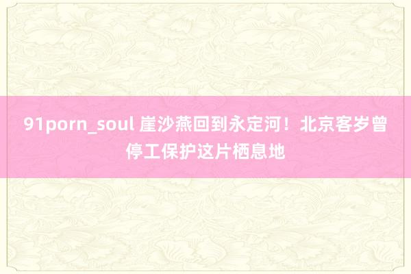 91porn_soul 崖沙燕回到永定河！北京客岁曾停工保护这片栖息地