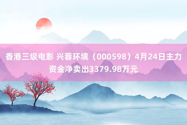 香港三级电影 兴蓉环境（000598）4月24日主力资金净卖出3379.98万元