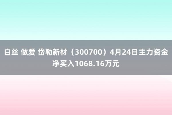 白丝 做爱 岱勒新材（300700）4月24日主力资金净买入1068.16万元