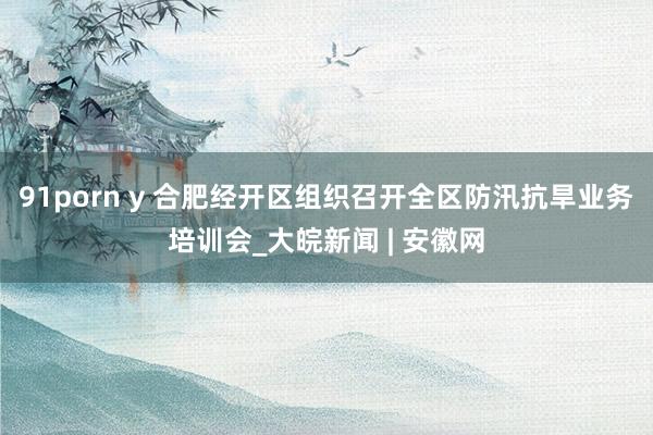 91porn y 合肥经开区组织召开全区防汛抗旱业务培训会_大皖新闻 | 安徽网