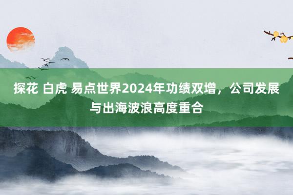 探花 白虎 易点世界2024年功绩双增，公司发展与出海波浪高度重合