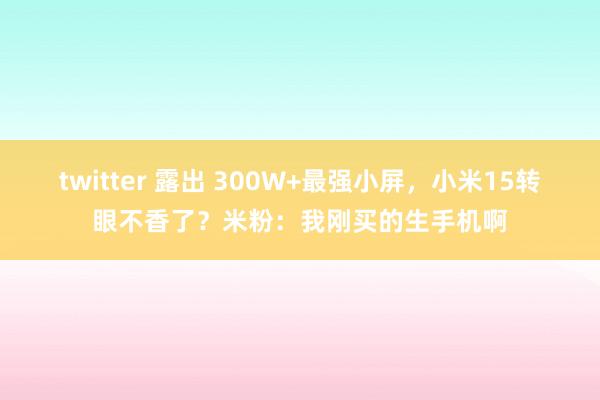 twitter 露出 300W+最强小屏，小米15转眼不香了？米粉：我刚买的生手机啊