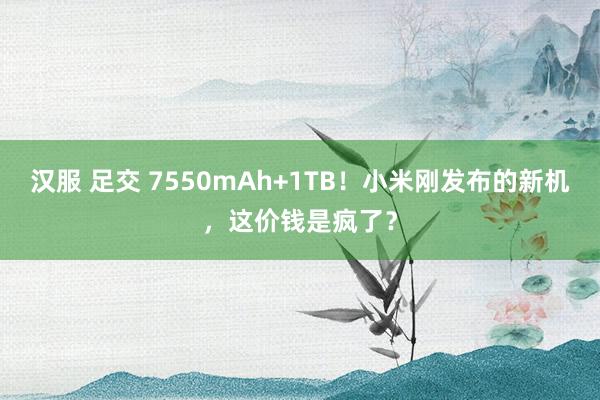 汉服 足交 7550mAh+1TB！小米刚发布的新机，这价钱是疯了？